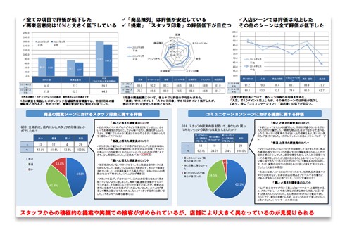 分析サマリーレポート