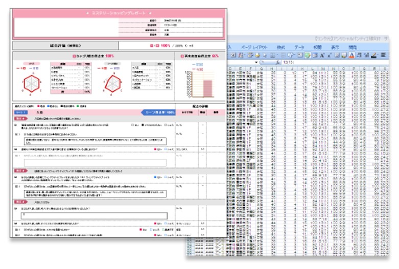 調査レポート